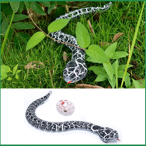REMOTE CONTROL TOY SNAKE - jetlove